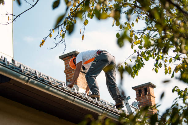 Best New Roof Installation  in Nokomis, IL