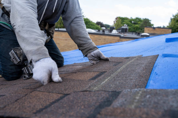 Professional Roofing Contractor in Nokomis, IL