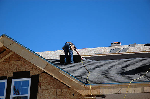 Best Roof Gutter Cleaning  in Nokomis, IL