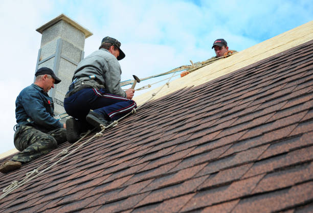 Best New Roof Installation  in Nokomis, IL
