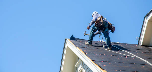 Best Roof Waterproofing Services  in Nokomis, IL